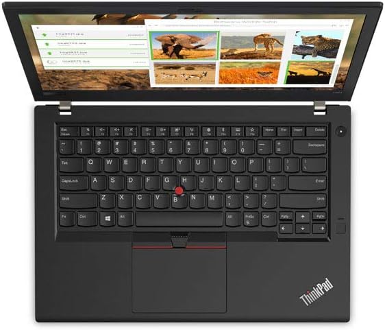 Lenovo ThinkPad T480 Light Weight Ultrabook Laptop, Intel Core i5-8th Generation CPU, 8GB RAM, 256GB SSD Hard, 14 inch Display